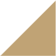 iconoprecios3